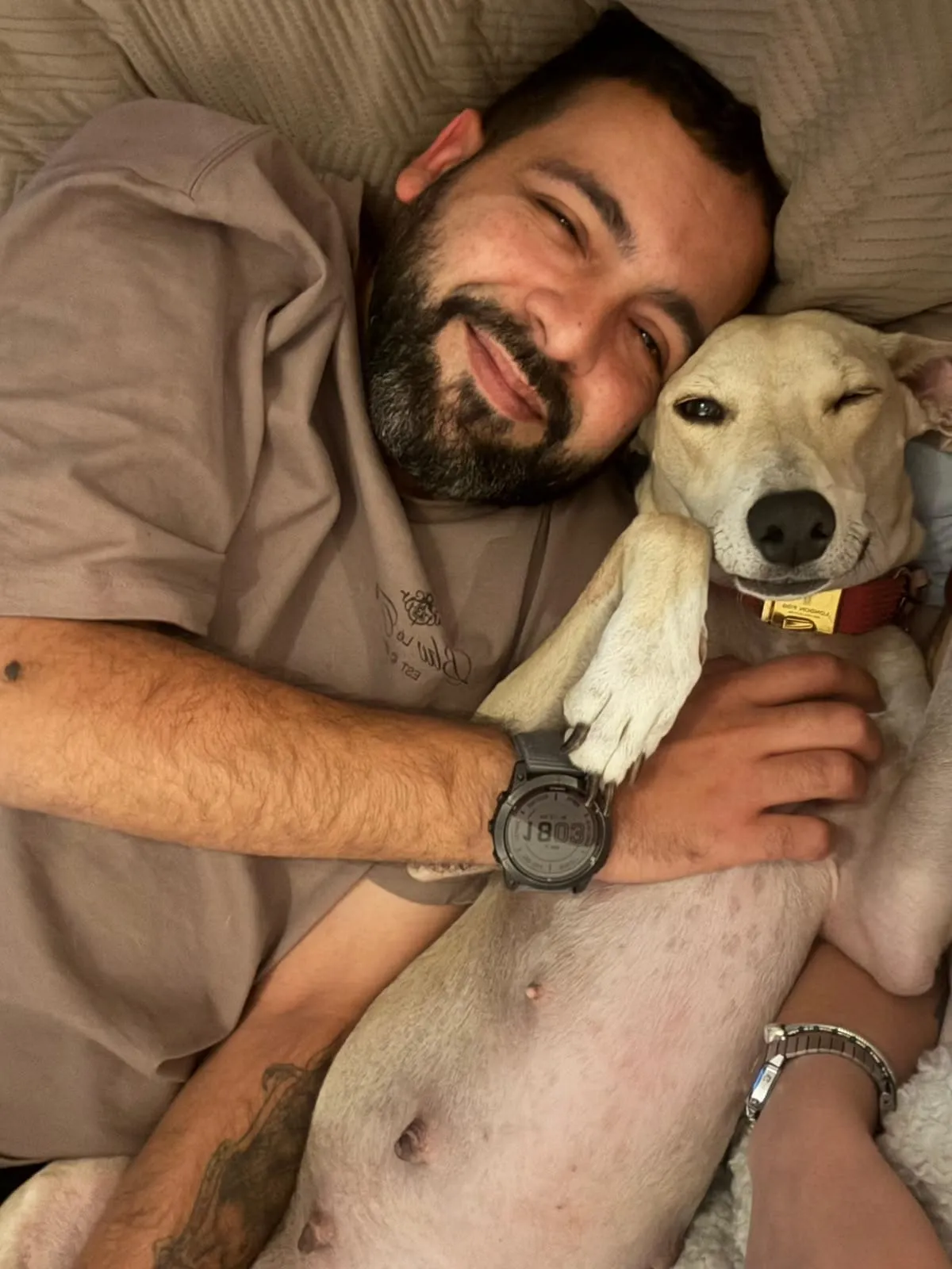 Arepita, galga de pelaje claro, recostada junto a una persona en una cama.