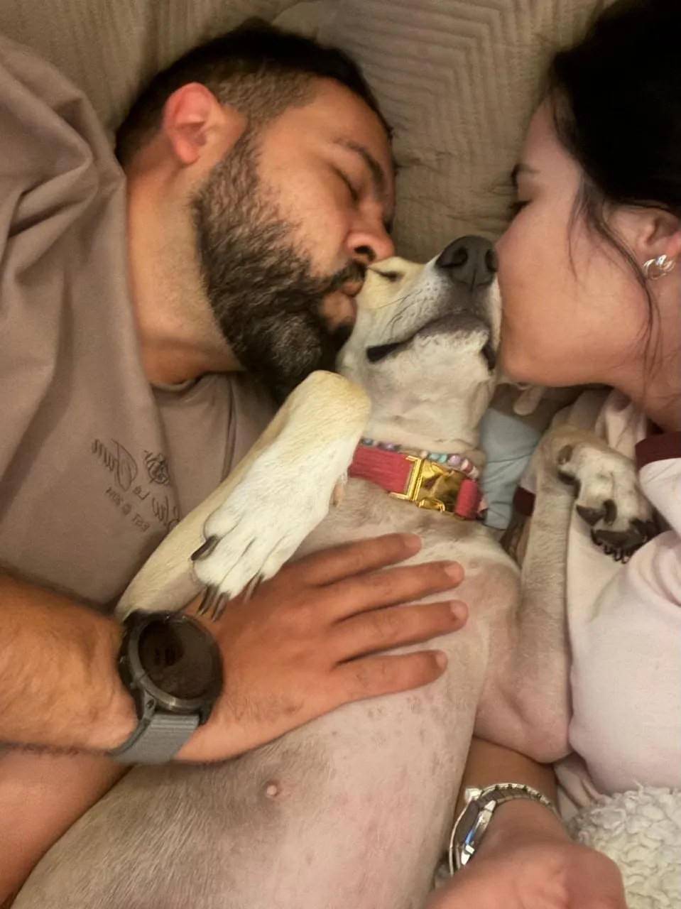 Arepita, galga de pelaje claro, entre dos personas que la besan en una cama.