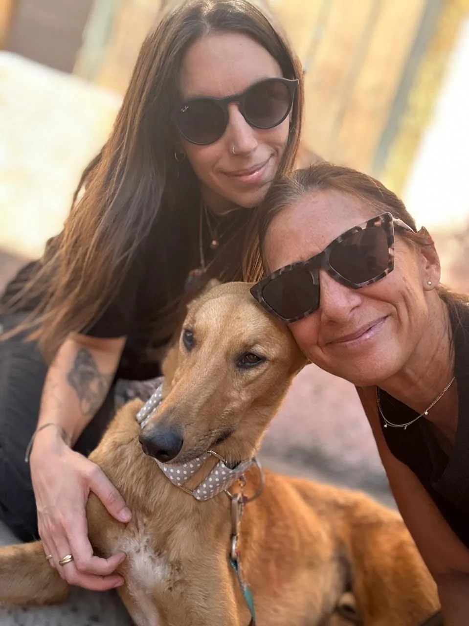 Benito, galgo de pelaje canela con pañuelo de lunares, recostado junto a dos personas.