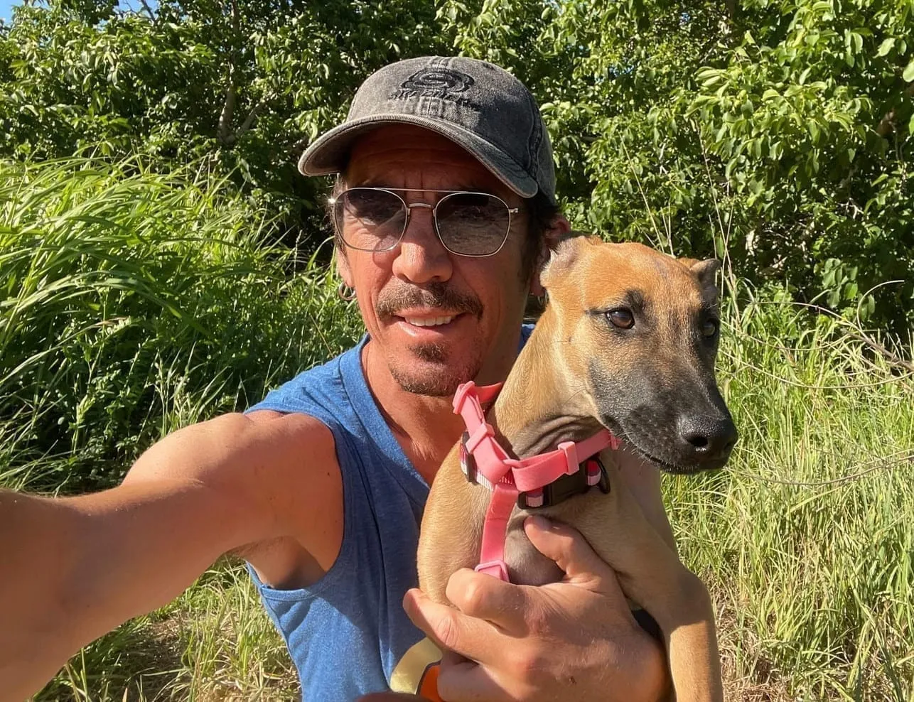 Rosita, galga canela, con arnés rosa, abrazada por una persona en un campo verde.